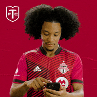 Major League Soccer No GIF by Toronto FC