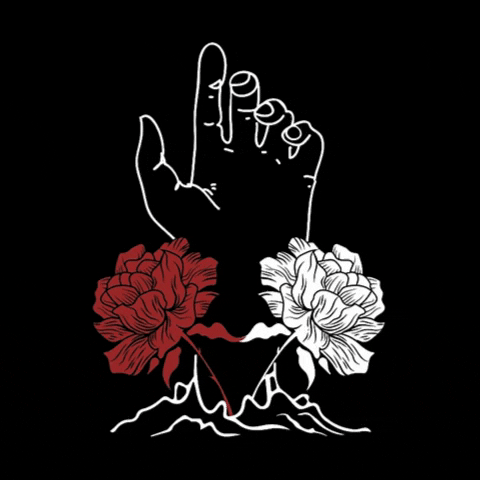 GIF by Perditio