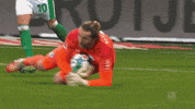 Football Soccer GIF by FC Schalke 04
