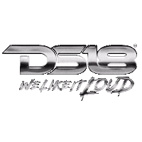 Car Audio Logo Sticker by DS18