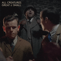 allcreaturestv animals sneeze yorkshire tristan GIF