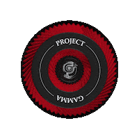 Project_Gamma air filters project gamma car filters pg filters Sticker