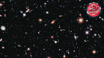 James Webb Nasa GIF by ESA Webb Space Telescope