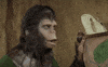 GIF by Giphy QA