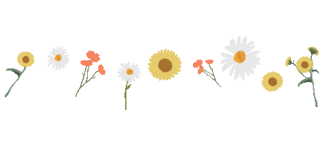 Frame Sticker by Bash Clothing