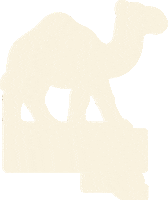 Dubai Camello Sticker by Terramar Brands