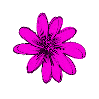 Flower Sea Sticker by Fabienne Chapot
