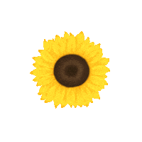 Summer Flower Sticker