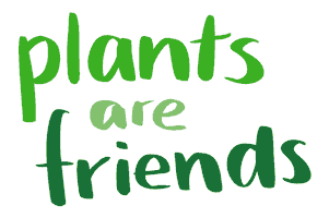 Friends Plants Sticker by Deutsche Welthungerhilfe e.V.