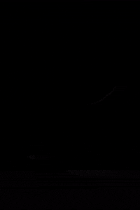 GIF by Tom Dixon Studio