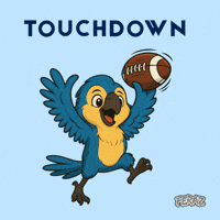 Game Time Football GIF by Feraz NFT