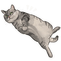 Cat 貓 Sticker by KANEKO