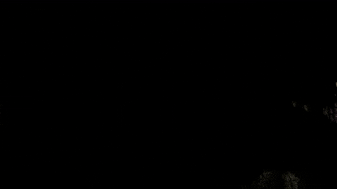 Hockey Del2 GIF by Krefeld Pinguine