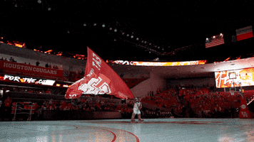 Sasha Go Coogs GIF by University of Houston