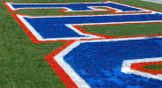 football field uf GIF by University of Florida