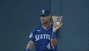 Happy Regular Season GIF by MLB
