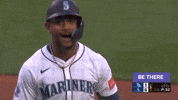 Celebrate Home Run GIF by MLB