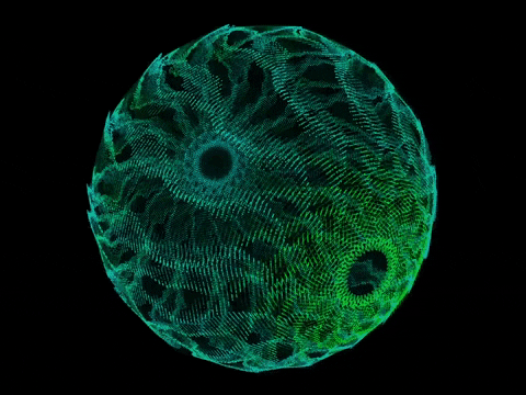 katietindle giphyupload GIF