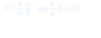 미니의늦여름 Sticker