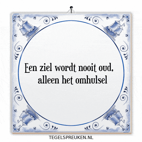 Spirit Nl GIF by Tegelspreuken.nl