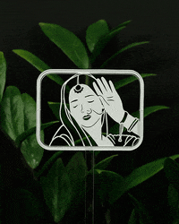 Deepika Padukone Reaction GIF by Parth Kothekar