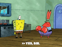 season 6 gullible pants GIF by SpongeBob SquarePants