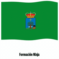 Flag Spain GIF by Formación Ninja