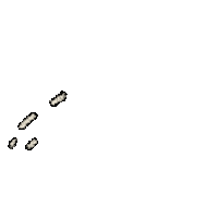 Stars Vida Sticker by Pleia Life