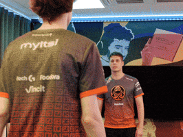 Counter-Strike Hand GIF by ENCE