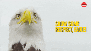 Show respect Eagle