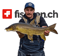 fischench fishing angeln flyfishing barbe Sticker