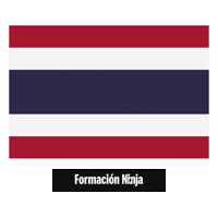Thailand Flag Sticker by Formación Ninja
