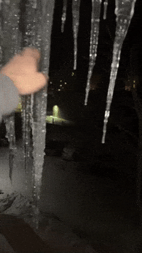 Cammg_bird_ icicle icicles GIF