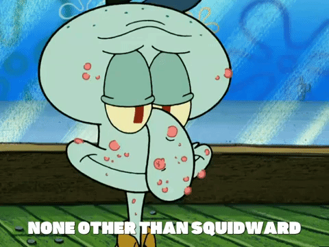 season 5 GIF by SpongeBob SquarePants