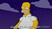 Episode 4 GIF by The Simpsons