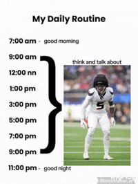 Houston Texans GIF