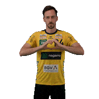 Handball Rnl Sticker by DAIKIN HBL