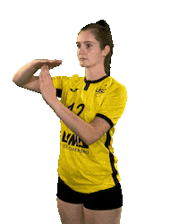 USC_Muenster ball volleyball stop break Sticker