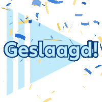 Geslaagd Rijbewijs Sticker by Allianz Direct