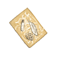 Botanikids botanikids natue exchange box Sticker