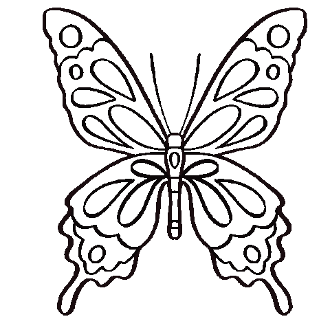 nataliemalan giphyupload black line butterfly Sticker
