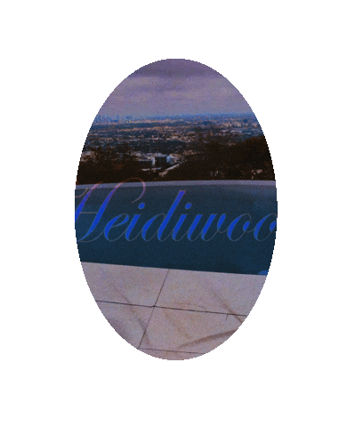 Pop Star Icon Sticker by Spencer Pratt