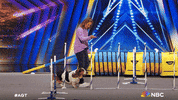 Episode 1 Dog GIF by America's Got Talent