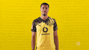 Borussia Dortmund Thumbs Up GIF by Bundesliga