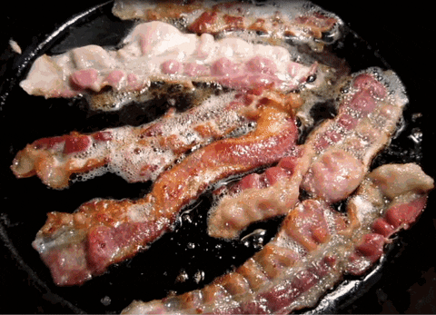 someone bacon GIF