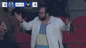 Stand Up Fan GIF by Major League Soccer