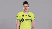 A-League Soccer GIF by Western United Football Club