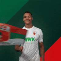 Football Flag GIF by FC Augsburg 1907