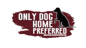 Good Dog Sticker by Big Dog Ranch Rescue