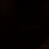 Happy Belgian Beer GIF by Belgo Belgian Craft Beer Brewery